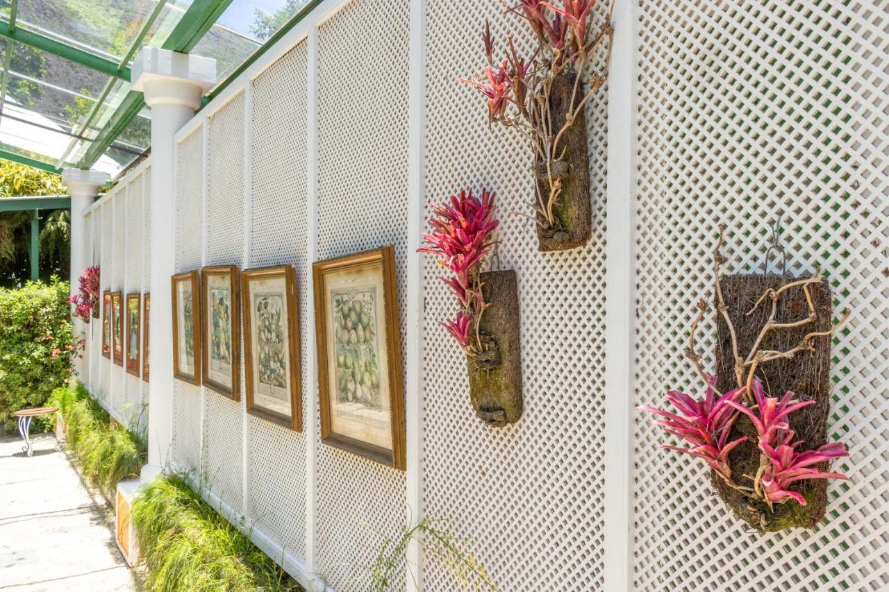 Locanda Della Mimosa Cascatinha المظهر الخارجي الصورة